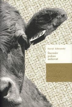 Šternův pokus milovat (Hardcover)