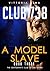 Club 738: A Model Slave: Part Three