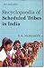 Encyclopaedia Scheduled Tribes in India