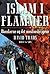 Islam i flammer by David Trads