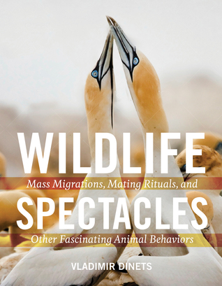 Wildlife Spectacles: Mass Migrations, Mating Rituals, and Other Fascinating Animal Behaviors (Hardcover)