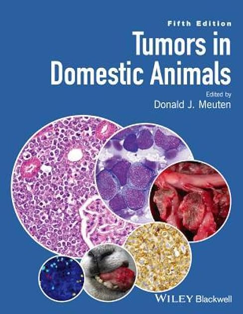 Tumors in Domestic Animals