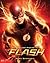 The Art and Making of The Flash by Abbie Bernstein