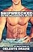 Shipwrecked On The Billionaire's Island (BDSM Billionaire Erotica Short)