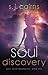 Soul Discovery by S.J. Cairns