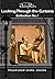 Looking Through the Curtains. Collection No. 1: 25 Illustrated Erotic Stories (Looking Through the Curtains series)
