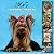 365 Days of Yorkshire Terriers 2007 Calendar by Tara Darling