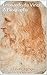 Leonardo da Vinci: A Biography