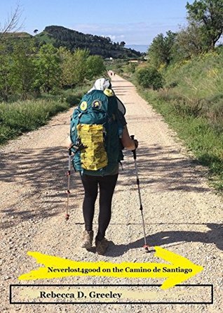 Neverlost4good on the Camino de Santiago (Kindle Edition)