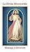 La Divina Misericordia Mensaje y Devocion (Spanish Edition)