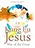 Kung Fu Jesus by Lawrence McCarthy