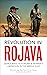 Revolution in Rojava: Democ...