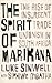 The Spirit of Marikana by Luke Sinwell