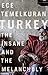 Turkey: The Insane and the Melancholy