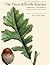 The Trees of North America: Michaux and Redouté's American Masterpiece (Michaux and Redoute's American Masterpiece)