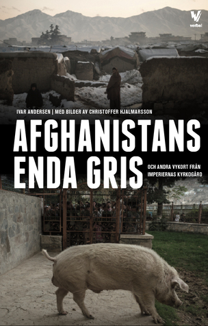 Afghanistans enda gris