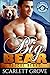 Big Bear (Rescue Bears, #3)
