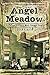 Angel Meadow: Victorian Bri...