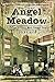 Angel Meadow: Victorian Britain's Most Savage Slum