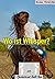 Wo ist Whisper? (Pferdeinternat Sankt Anna 19) (German Edition)