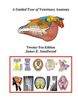 A Guided Tour of Veterinary Anatomy (Hardcover)