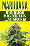 Marijuana: Big Buds, Big Yields...At Home! (How To Grow Your Own Cannabis)