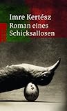 Roman eines Schic...