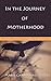 In The Journey Of Motherhood: In The Women Journey through Pregnancy, In The Journey Of Motherhood