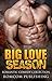 Big Love Season