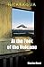 Nicaragua At the Foot of the Volcano