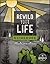Rewild Your Life Guidebook