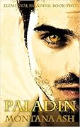 Paladin (Elemental Paladins, #2)