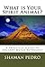 What is Your Spirit Animal?: A Practical Guide to Ancient Mayan Astrology