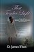That Tender Light: A story of love, mystery, romance, adventure, and redemption