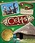 Explore!: Celts