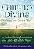 Camino Divina―Walking the Divine Way: A Book of Moving Meditations with Likely and Unlikely Saints