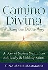 Camino Divina―Walking the Divine Way: A Book of Moving Meditations with Likely and Unlikely Saints