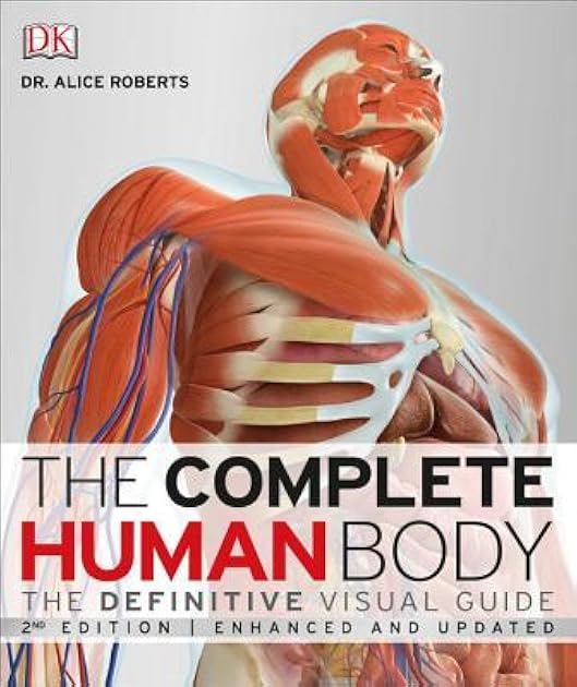 The Complete Human Body, 2nd Edition: The Definitive Visual Guide (DK Human Body Guides)