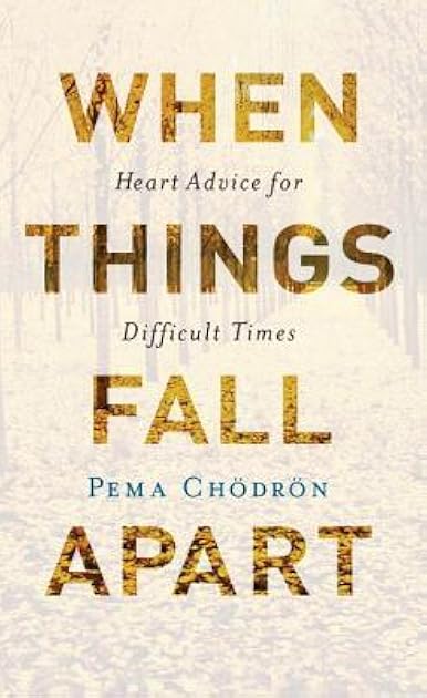 When Things Fall Apart: Heart Advice for Difficult Times