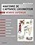 Anatomie de L'Appareil Locomoteur-Tome 2: Membre Superieur (French and French Edition)