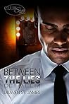 Between the Lies by Draven St. James