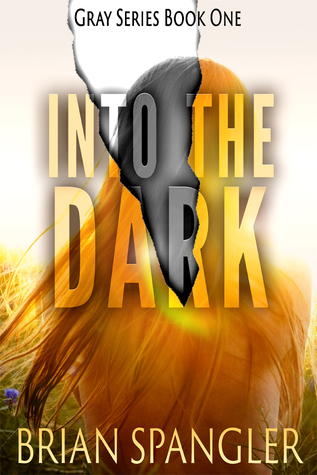 Into the Dark (Kindle Edition)