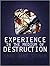 Experience in the Medium of Destruction