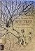 Bee Tree and Other Stuff