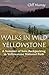 Walks in Wild Yellowstone: A Summer of Solo Backpacking in Yellowstone National Park