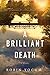 A Brilliant Death by Robin Yocum