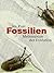 Fossilien by Jes Rust