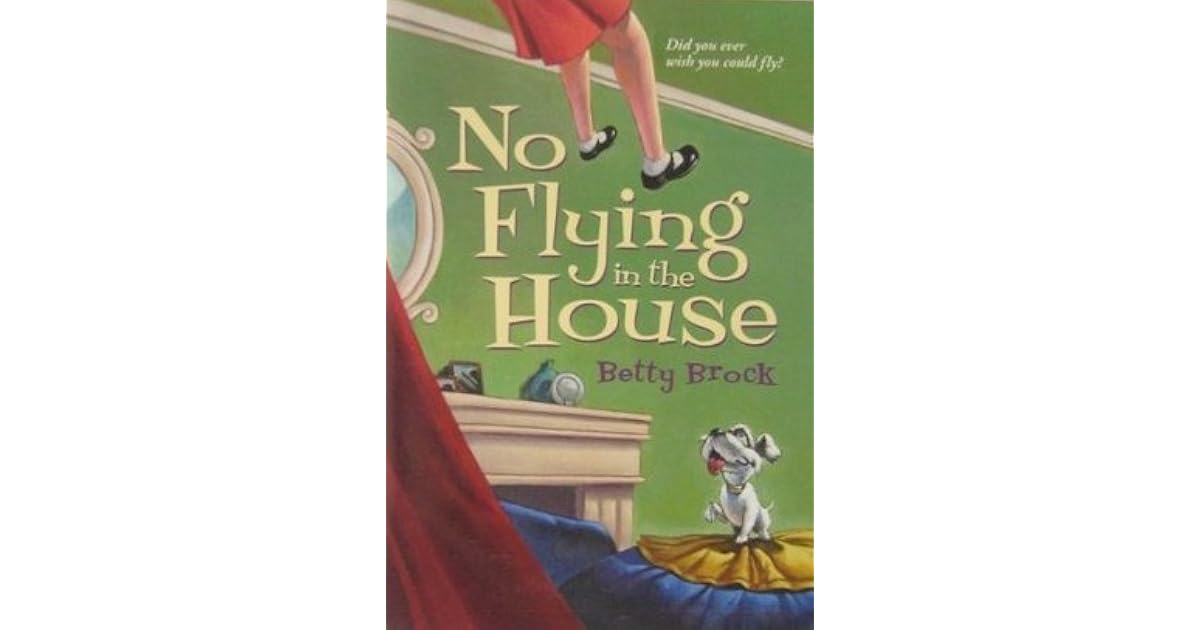 no flying in the house book