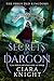 The Secrets of Dargon (The Shrouded Kingdoms #2)