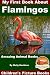 My First Book About Flamingos - Amazing Animal Books - Children's Picture Books